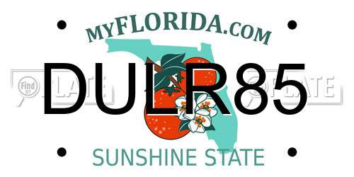 DULR85 Florida License Plate