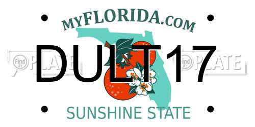 DULT17 Florida License Plate