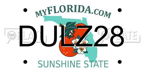 DULZ28 Florida License Plate