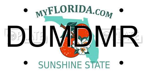 DUMDMR Florida License Plate