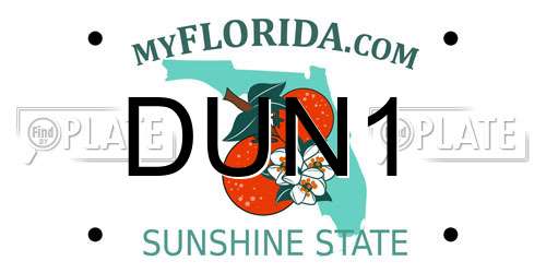 DUN1 Florida License Plate