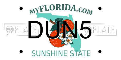 DUN5 Florida License Plate