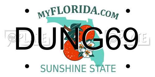 DUNG69 Florida License Plate