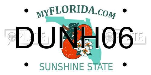 DUNH06 Florida License Plate