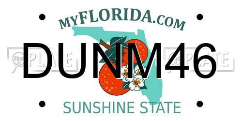 DUNM46 Florida License Plate