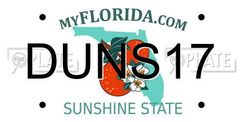 DUNS17 Florida License Plate