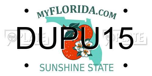 DUPU15 Florida License Plate