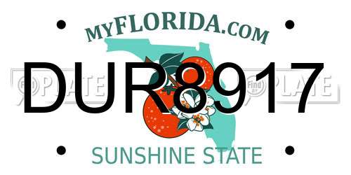 DUR8917 Florida License Plate