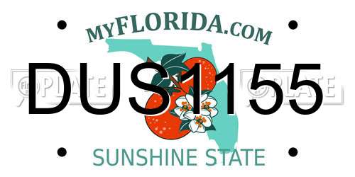 DUS1155 Florida License Plate