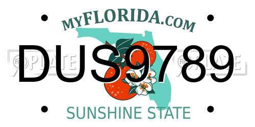 DUS9789 Florida License Plate