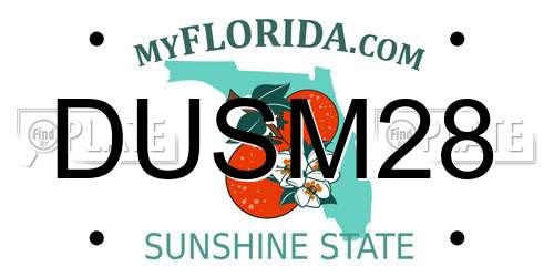 DUSM28 Florida License Plate