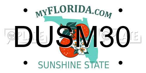 DUSM30 Florida License Plate