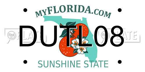 DUTL08 Florida License Plate