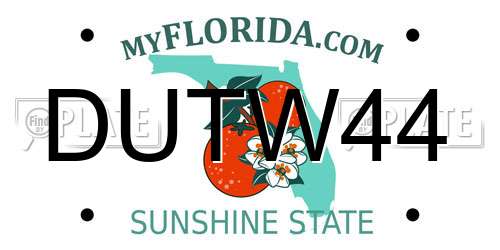 DUTW44 Florida License Plate