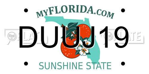 DUUJ19 Florida License Plate