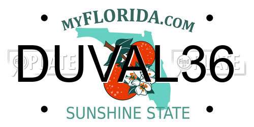 DUVAL36 Florida License Plate