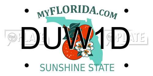 DUW1D Florida License Plate