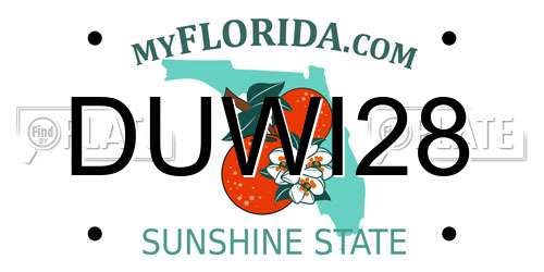 DUWI28 Florida License Plate