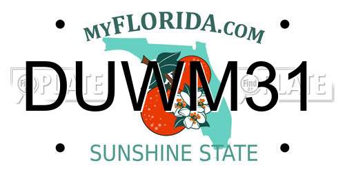 DUWM31 Florida License Plate