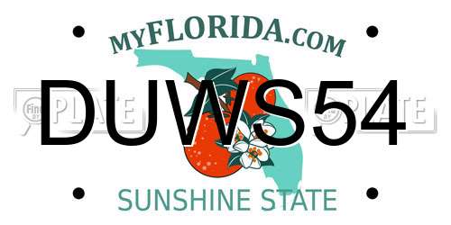 DUWS54 Florida License Plate