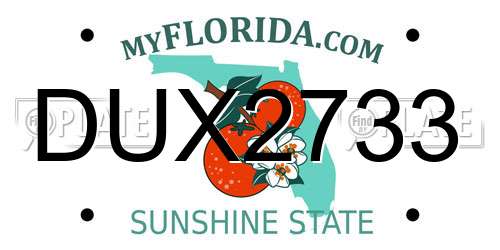 DUX2733 Florida License Plate
