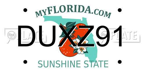 DUXZ91 Florida License Plate