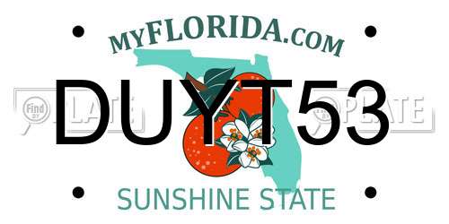 DUYT53 Florida License Plate
