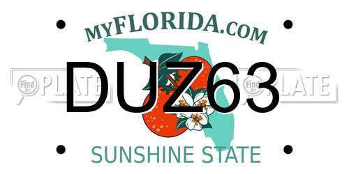 DUZ63 Florida License Plate
