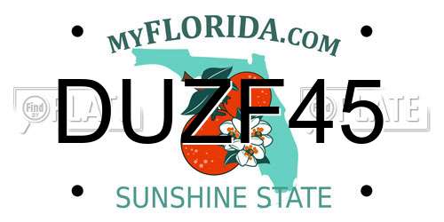 DUZF45 Florida License Plate