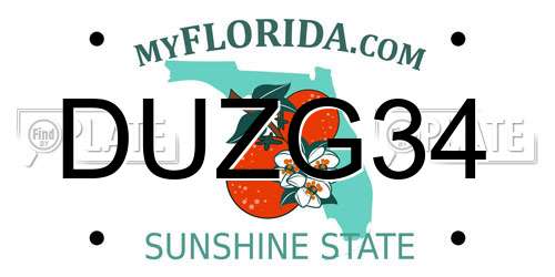 DUZG34 Florida License Plate