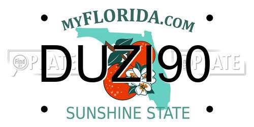 DUZI90 Florida License Plate