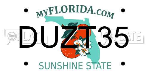 DUZT35 Florida License Plate