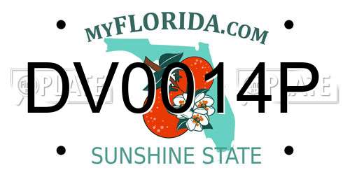 DV0014P Florida License Plate