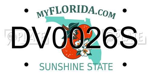 DV0026S Florida License Plate