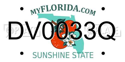 DV0033Q Florida License Plate