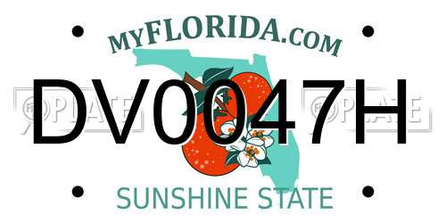 DV0047H Florida License Plate