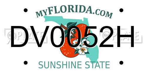 DV0052H Florida License Plate