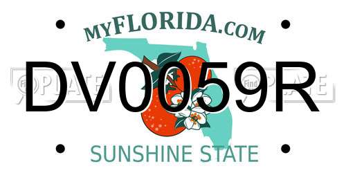 DV0059R Florida License Plate