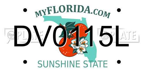 DV0115L Florida License Plate