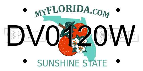 DV0120W Florida License Plate