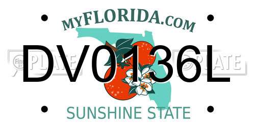 DV0136L Florida License Plate