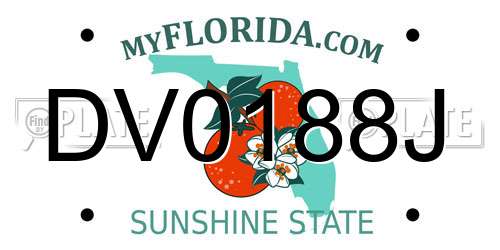 DV0188J Florida License Plate