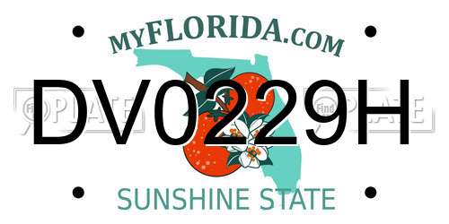 DV0229H Florida License Plate