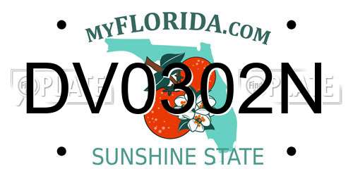 DV0302N Florida License Plate
