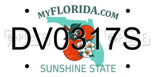 DV0317S Florida License Plate
