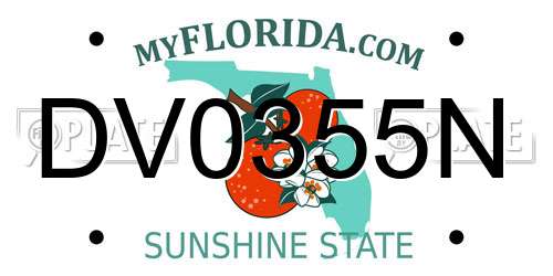 DV0355N Florida License Plate