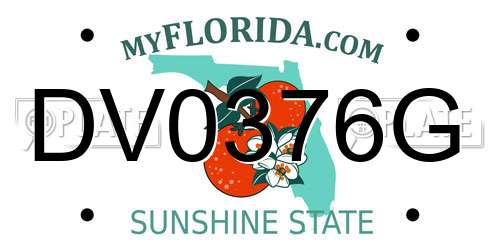 DV0376G Florida License Plate