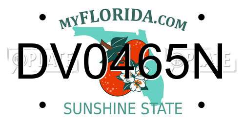 DV0465N Florida License Plate