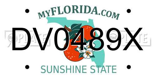 DV0489X Florida License Plate