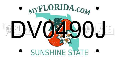 DV0490J Florida License Plate